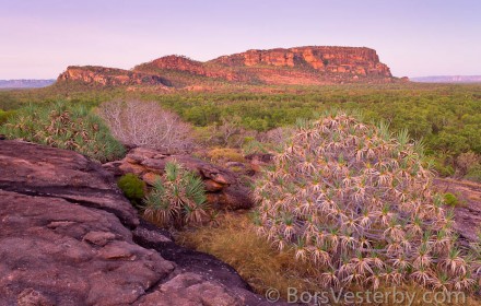 Evening at Nourlangie Rock