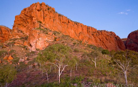 The Walls of Purnululu