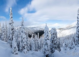 Hurricane Ridge After the Storm