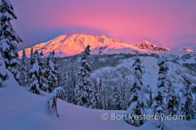 Mt Rainier