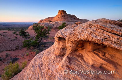 Desert Evening