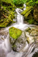 The Stone in the Stream