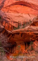 Double Arch Alcove